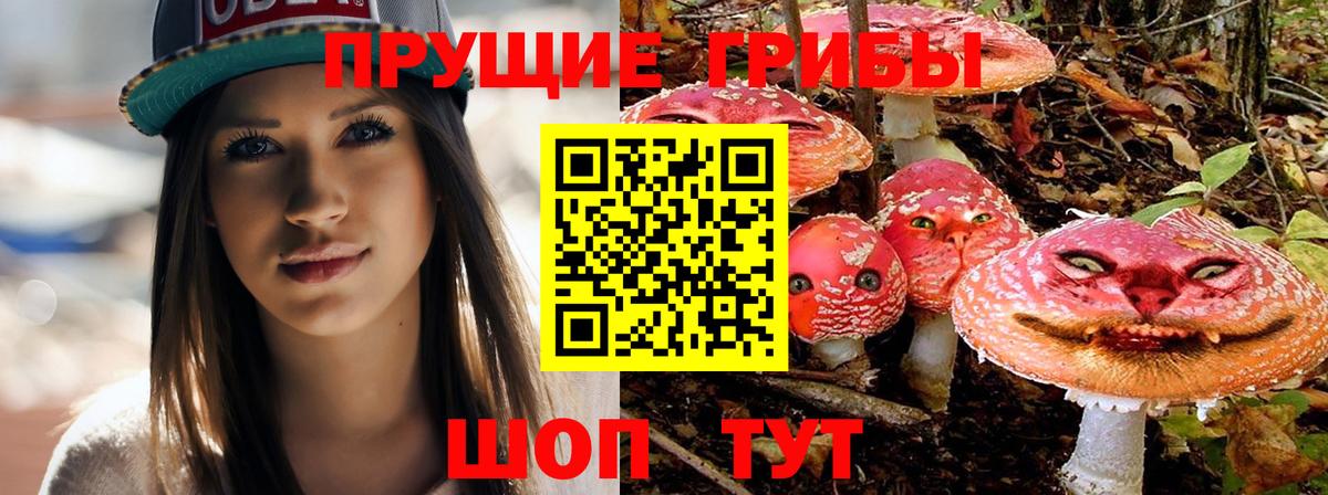 Лосино-Петровский  Галлюциногенные грибы Cubensis  Вход с VPN 