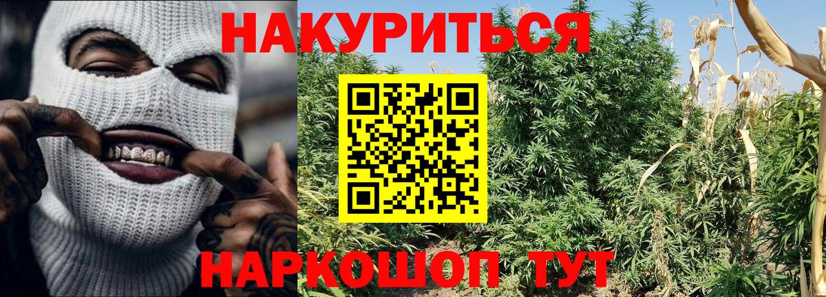 Бошки Шишки OG Kush Лосино-Петровский